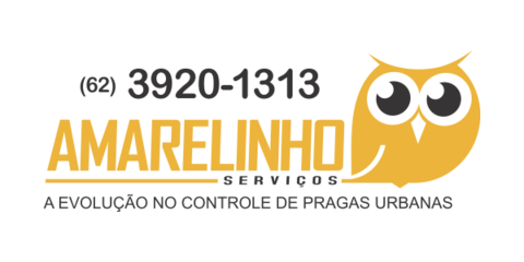Amarelinho Serviços