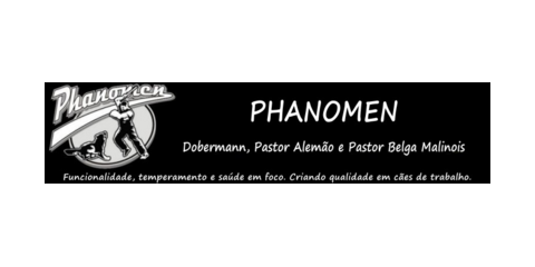 Phanomen